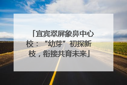 宜宾翠屏象鼻中心校：“幼芽”初探新枝，衔接共育未来