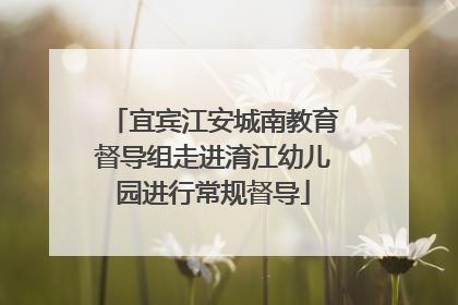 宜宾江安城南教育督导组走进淯江幼儿园进行常规督导