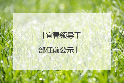 宜春领导干部任前公示