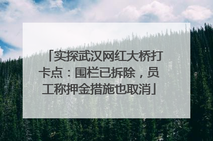 实探武汉网红大桥打卡点：围栏已拆除，员工称押金措施也取消