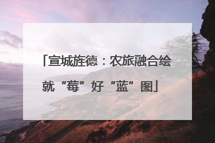 宣城旌德：农旅融合绘就“莓”好“蓝”图