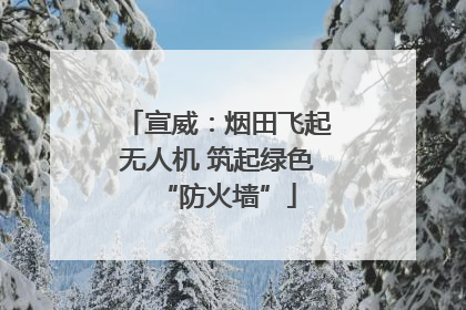 宣威：烟田飞起无人机 筑起绿色“防火墙”