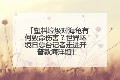 塑料垃圾对海龟有何致命伤害？世界环境日总台记者走进开普敦海洋馆