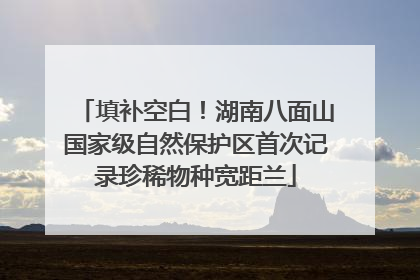 填补空白！湖南八面山国家级自然保护区首次记录珍稀物种宽距兰