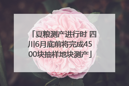 夏粮测产进行时 四川6月底前将完成4500块抽样地块测产
