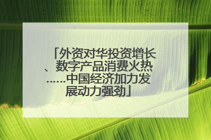 外资对华投资增长、数字产品消费火热……中国经济加力发展动力强劲