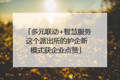 多元联动+智慧服务 这个派出所的护企新模式获企业点赞