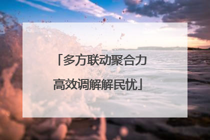 多方联动聚合力 高效调解解民忧