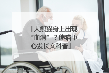 大熊猫身上出现“血洞”？熊猫中心发长文科普