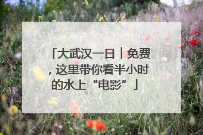 大武汉一日︱免费，这里带你看半小时的水上“电影”