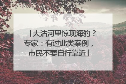 大沽河里惊现海豹？专家：有过此类案例，市民不要自行靠近
