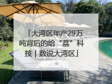 大湾区年产29万吨背后的给“荔”科技｜数说大湾区