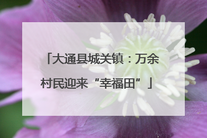 大通县城关镇：万余村民迎来“幸福田”