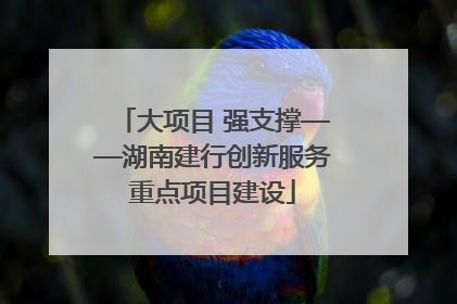 大项目 强支撑——湖南建行创新服务重点项目建设