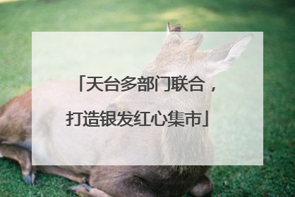 天台多部门联合，打造银发红心集市