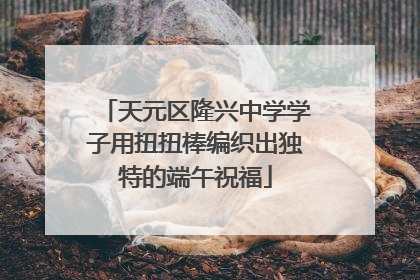 天元区隆兴中学学子用扭扭棒编织出独特的端午祝福