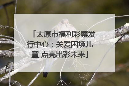 太原市福利彩票发行中心：关爱困境儿童 点亮出彩未来