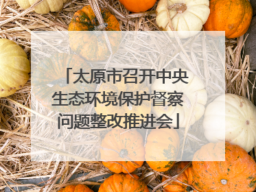 太原市召开中央生态环境保护督察问题整改推进会
