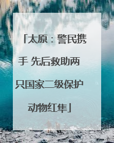 太原：警民携手 先后救助两只国家二级保护动物红隼