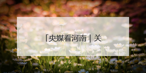 央媒看河南｜关注河南小麦收购、高考保障等内容