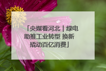 央媒看河北｜绿电助推工业转型 换新撬动百亿消费
