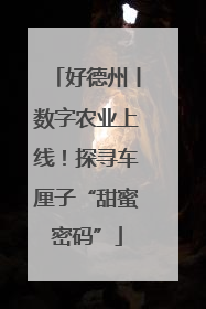 好德州丨数字农业上线！探寻车厘子“甜蜜密码”