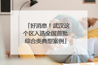 好消息！武汉这个区入选全国首批综合类典型案例