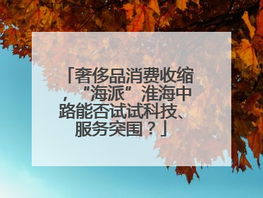 奢侈品消费收缩，“海派”淮海中路能否试试科技、服务突围？