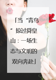 当“青鸟”掠过舜皇山：一场生态与文明的双向奔赴