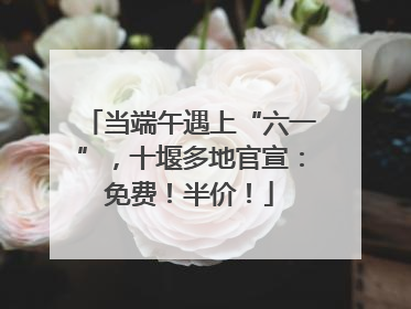 当端午遇上“六一”，十堰多地官宣：免费！半价！