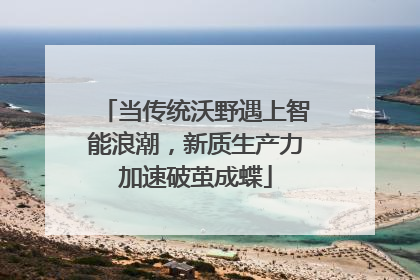 当传统沃野遇上智能浪潮，新质生产力加速破茧成蝶