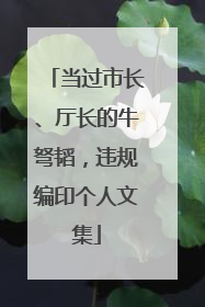 当过市长、厅长的牛弩韬，违规编印个人文集