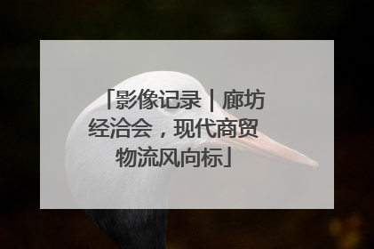 影像记录｜廊坊经洽会，现代商贸物流风向标