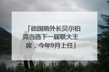 德国前外长贝尔伯克当选下一届联大主席，今年9月上任