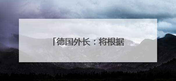 德国外长：将根据加沙人道局势决定是否继续向以方供武