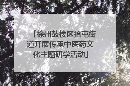 徐州鼓楼区拾屯街道开展传承中医药文化主题研学活动