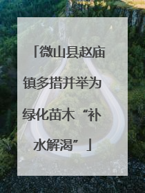 微山县赵庙镇多措并举为绿化苗木“补水解渴”
