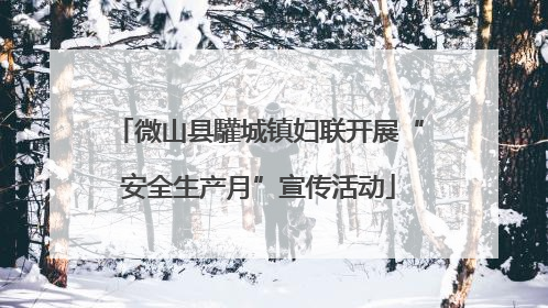 微山县驩城镇妇联开展“安全生产月”宣传活动