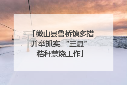 微山县鲁桥镇多措并举抓实 “三夏” 秸秆禁烧工作