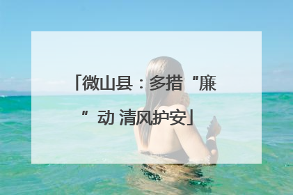 微山县：多措“廉”动 清风护安