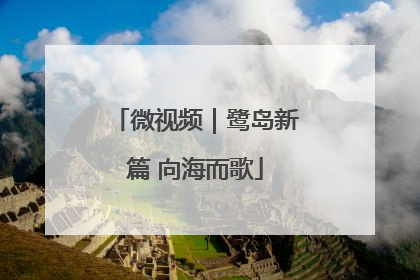 微视频｜鹭岛新篇 向海而歌