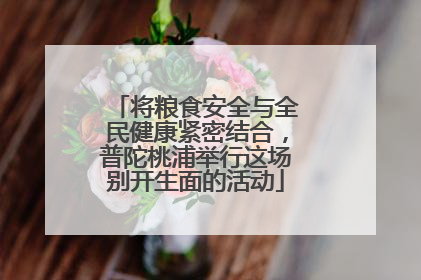 将粮食安全与全民健康紧密结合，普陀桃浦举行这场别开生面的活动