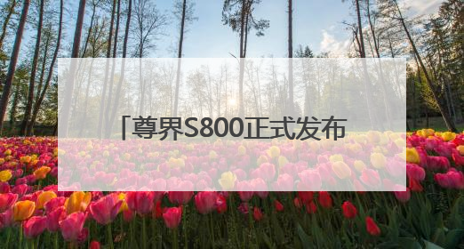 尊界S800正式发布 强势闯入豪车阵营