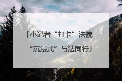 小记者“打卡”法院 “沉浸式”与法同行
