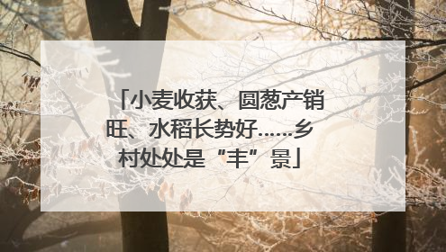小麦收获、圆葱产销旺、水稻长势好……乡村处处是“丰”景