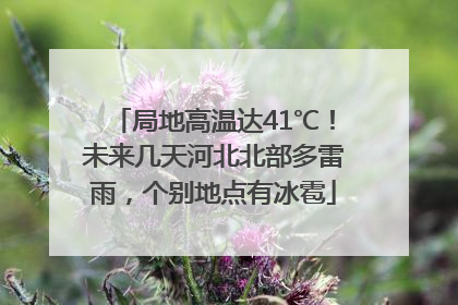 局地高温达41℃！未来几天河北北部多雷雨，个别地点有冰雹