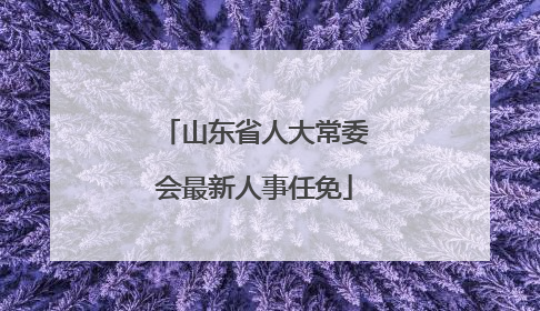山东省人大常委会最新人事任免