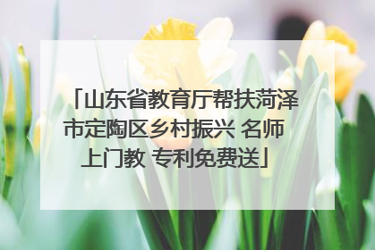 山东省教育厅帮扶菏泽市定陶区乡村振兴 名师上门教 专利免费送