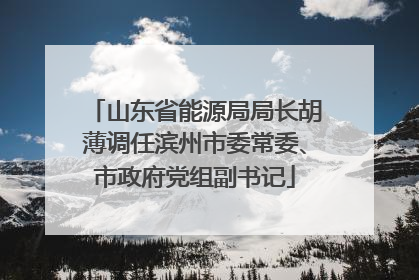 山东省能源局局长胡薄调任滨州市委常委、市政府党组副书记