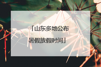 山东多地公布暑假放假时间